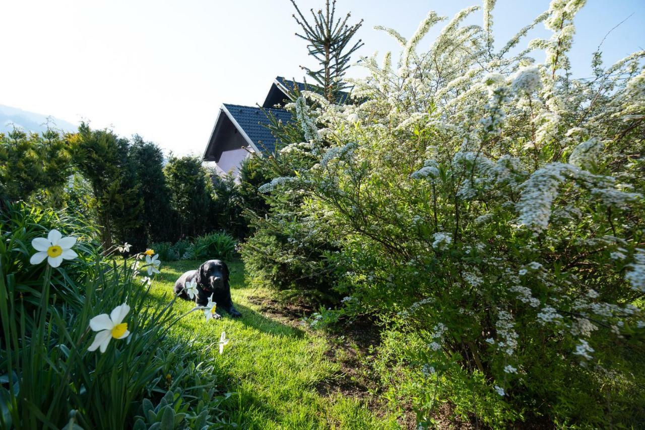 Guest House Pr' Cut Жировниця Екстер'єр фото